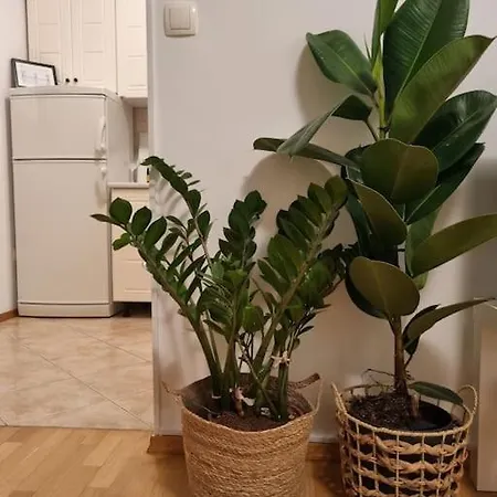 Appartamento Little Cozy Apt Close To Centre *